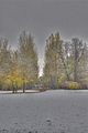 weimar-park-ilm-28-10-2012-097