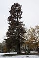 weimar-park-ilm-28-10-2012-104