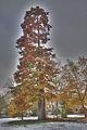 weimar-park-ilm-28-10-2012-105