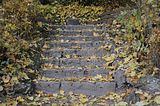 weimar-park-ilm-herbst-2012-009