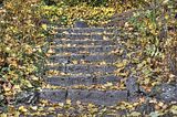 weimar-park-ilm-herbst-2012-010