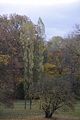 weimar-park-ilm-herbst-2012-011