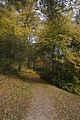 weimar-park-ilm-herbst-2012-013