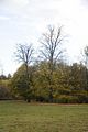 weimar-park-ilm-herbst-2012-015