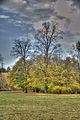 weimar-park-ilm-herbst-2012-016
