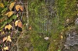 weimar-park-ilm-herbst-2012-018