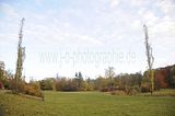 weimar-park-ilm-herbst-2012-027
