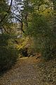 weimar-park-ilm-herbst-2012-033