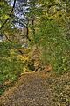 weimar-park-ilm-herbst-2012-034
