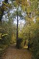 weimar-park-ilm-herbst-2012-035
