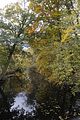 weimar-park-ilm-herbst-2012-040