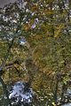 weimar-park-ilm-herbst-2012-041