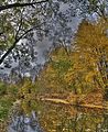 weimar-park-ilm-herbst-2012-042