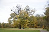 weimar-park-ilm-herbst-2012-043
