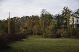 weimar-park-ilm-herbst-2012-049