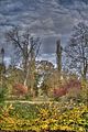 weimar-park-ilm-herbst-2012-052
