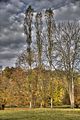 weimar-park-ilm-herbst-2012-056