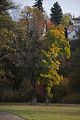 weimar-park-ilm-herbst-2012-057