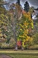 weimar-park-ilm-herbst-2012-058