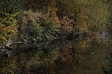 weimar-park-ilm-herbst-2012-059