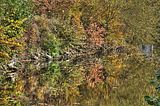 weimar-park-ilm-herbst-2012-060