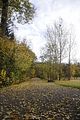 weimar-park-ilm-herbst-2012-061