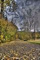 weimar-park-ilm-herbst-2012-062