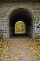 weimar-park-ilm-herbst-2012-063