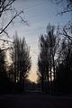 park_ilm_belvedere_weimar_orig_12_2016_004