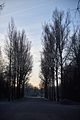 park_ilm_belvedere_weimar_orig_12_2016_005