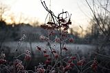 park_ilm_belvedere_weimar_orig_12_2016_012