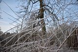 park_ilm_belvedere_weimar_orig_12_2016_013