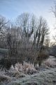 park_ilm_belvedere_weimar_orig_12_2016_014