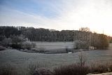 park_ilm_belvedere_weimar_orig_12_2016_021