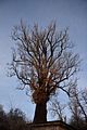park_ilm_belvedere_weimar_orig_12_2016_022