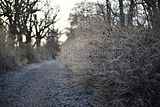 park_ilm_belvedere_weimar_orig_12_2016_024