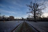 park_ilm_belvedere_weimar_orig_12_2016_030
