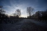 park_ilm_belvedere_weimar_orig_12_2016_031