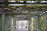 park_ilm_belvedere_weimar_orig_12_2016_037