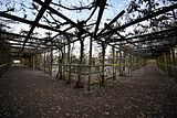 park_ilm_belvedere_weimar_orig_12_2016_044