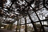 park_ilm_belvedere_weimar_orig_12_2016_045