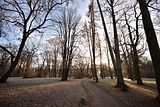 park_ilm_belvedere_weimar_orig_12_2016_052