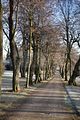 park_ilm_belvedere_weimar_orig_12_2016_055