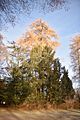 park_ilm_belvedere_weimar_orig_12_2016_057