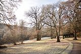 park_ilm_belvedere_weimar_orig_12_2016_058