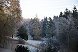 park_ilm_belvedere_weimar_orig_12_2016_064