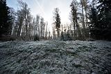 park_ilm_belvedere_weimar_orig_12_2016_072