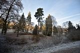 park_ilm_belvedere_weimar_orig_12_2016_073