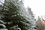park_ilm_belvedere_weimar_orig_12_2016_076