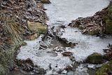 park_ilm_belvedere_weimar_orig_12_2016_082
